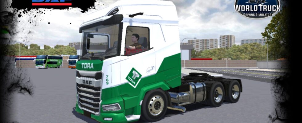 SKINS DAF XG – TORA TRANSPORTES